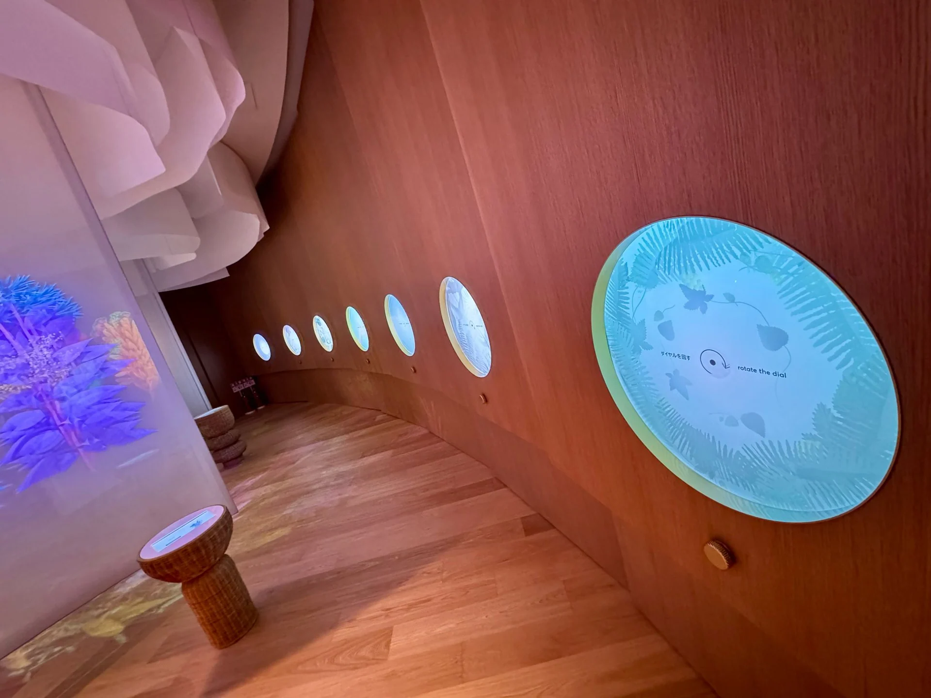 Angled view along the curved wooden wall and circular displays in the 7herbs gallery.